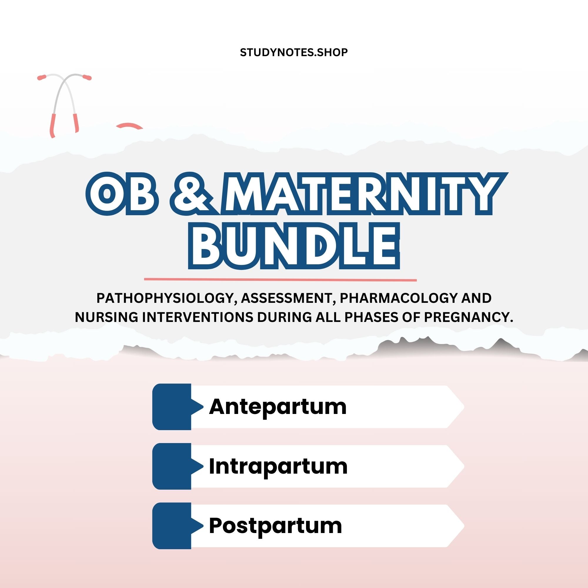 OB & Maternity Bundle ~ Nursing School ~ NCLEX Notes