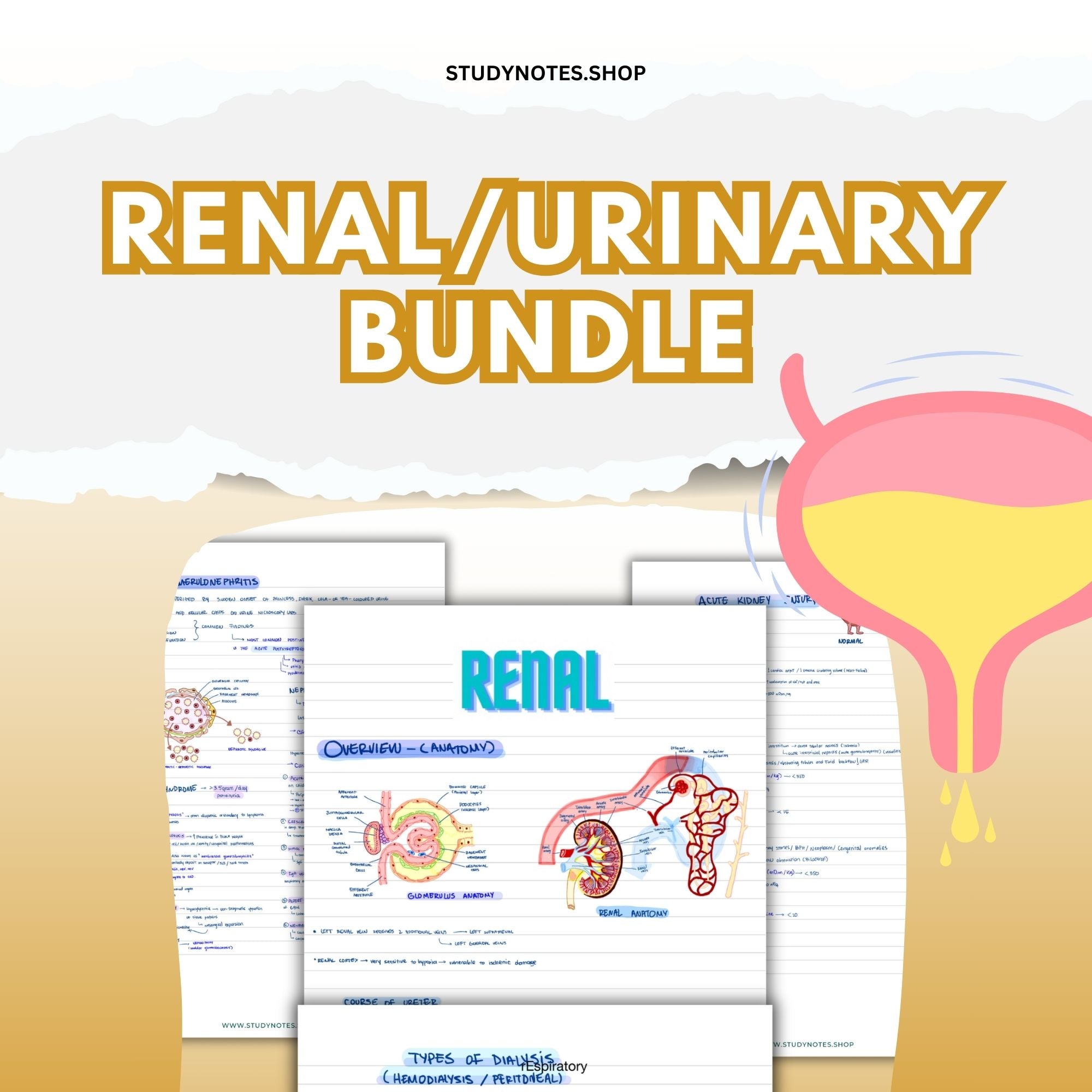 Renal/Urinary Tract Infections Nursing Study Guide | Nursing Notes