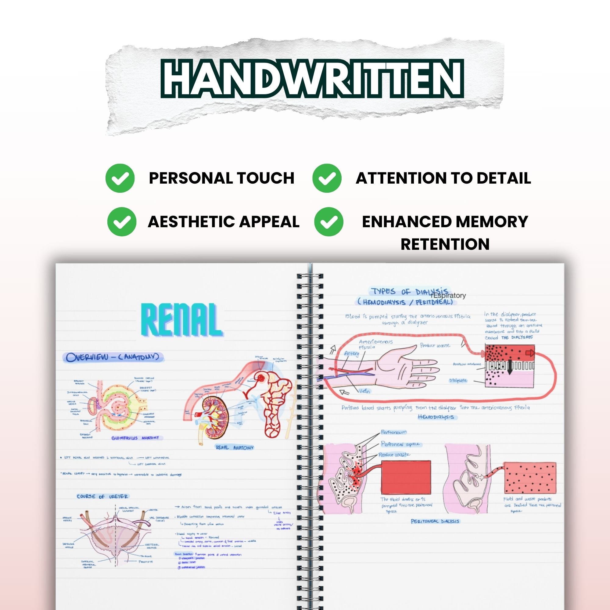 Complete Study Guide Bundle for Nursing Students - UPDATED